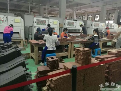 馬小龍赴廣東福美軟瓷等企業考察，推動產業合作與創新發展